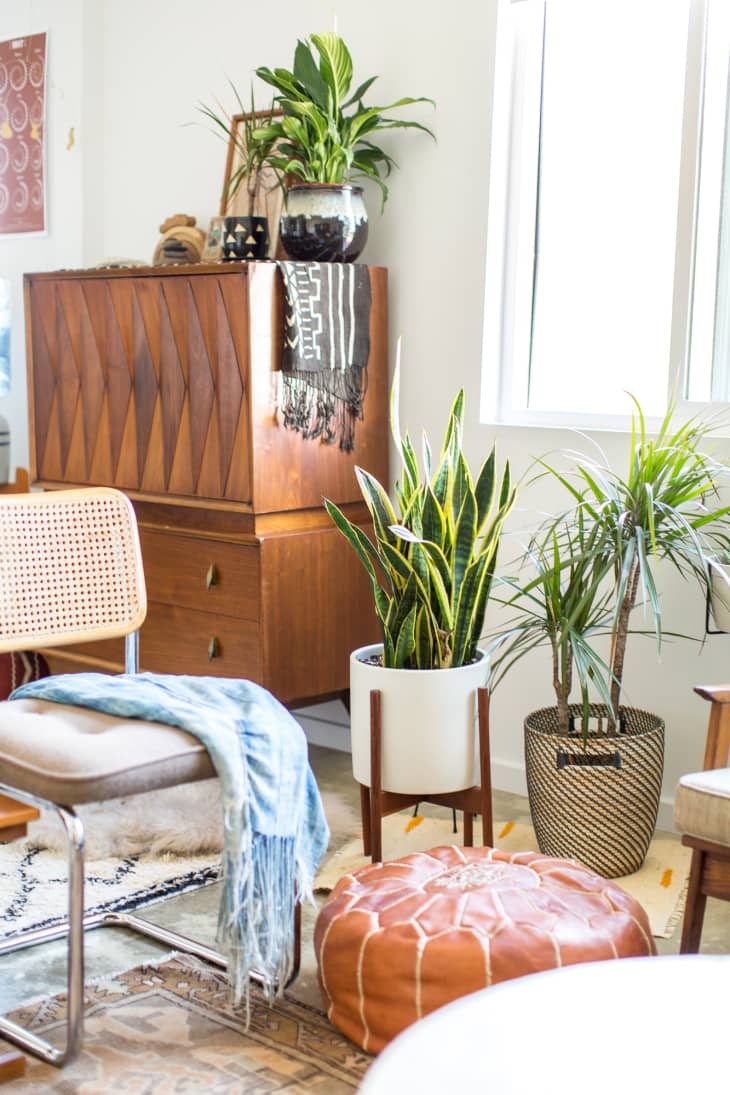 Planters With No Drainage Holes What to Do? Apartment Therapy